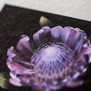 Awagami Bizan White Thick (Deckle Edges) - 300 g/m², A3+ 5 ark